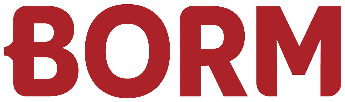 Borm-Informatik AG